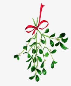 Mistletoe Texture Painting, Ink Painting, Mistletoe, - Mistletoe Watercolor, HD Png Download, Transparent PNG