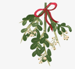 Mistletoe Cliparts Transparent - Christmas Flower Watercolor Png, Png Download, Transparent PNG