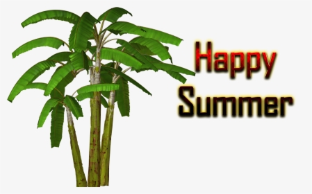 Summer - Banana Tree Clipart Png, Transparent Png, Transparent PNG