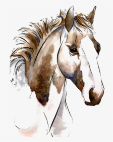 Transparent Hourse Clipart - Horse Art Png, Png Download, Transparent PNG