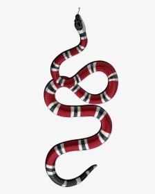 Gucci Snake Png - Gucci Snake Logo Png, Transparent Png, Transparent PNG