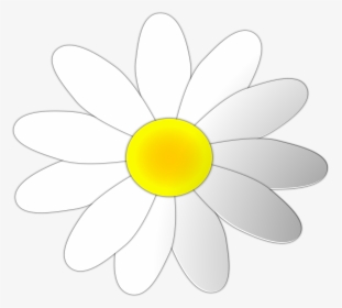 Daisy Flower Clip Art � Clipart Free Download - Harold And Maude Art, HD Png Download, Transparent PNG
