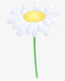 Single White Daisy Flower Hd Photo Clipart - Clip Art, HD Png Download, Transparent PNG