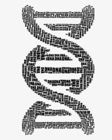 Dna Strand Word Cloud Typography Black - Word Cloud Of Dna, HD Png Download, Transparent PNG