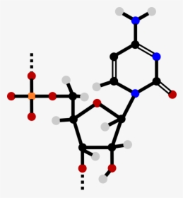 Line,nucleotide,dna - Nucleotide Clipart, HD Png Download, Transparent PNG