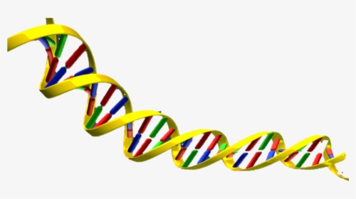 Science Clipart Dna - Dna Double Helix Transparent, HD Png Download, Transparent PNG