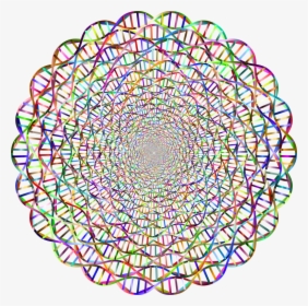 Chromatic Dna Helix Vortex 2 No Background - Double Helix Circle, HD Png Download, Transparent PNG