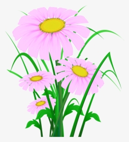 Transparent Wildflowers Clipart - Beautiful Flower Background Png, Png Download, Transparent PNG