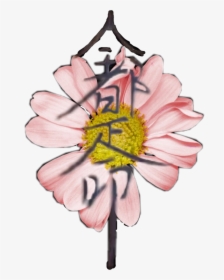 Daisy , Png Download - Daisy, Transparent Png, Transparent PNG