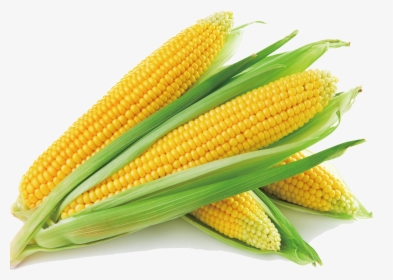 Sweet Corn Corn On The Cob Corn Soup Maize Vegetable - Corn Png, Transparent Png, Transparent PNG