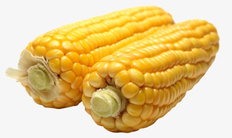 Corn Png Image - Maize Png, Transparent Png, Transparent PNG