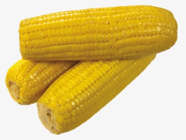 Yellow Corn Png Image - Yellow Corn, Transparent Png, Transparent PNG