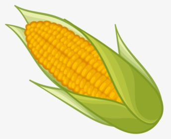 Corn Png Transparent Images Png Only - Transparent Background Corn Clipart, Png Download, Transparent PNG