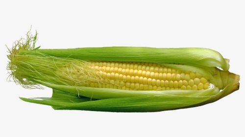 Corn Png, Transparent Png, Transparent PNG