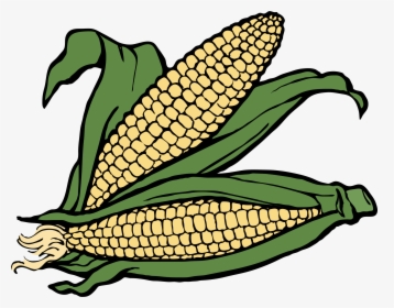 Corn Clip Arts - Corn Clipart, HD Png Download, Transparent PNG