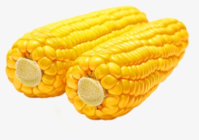 Corn .png, Transparent Png, Transparent PNG