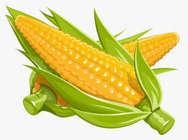 Maize Royalty-free Illustration - Corn Cartoon Png, Transparent Png, Transparent PNG