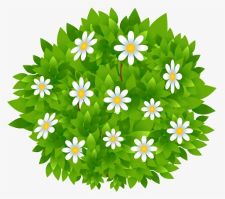 Clip Art Flowering Shrub Clipart - Clipart Bushes Transparent Background, HD Png Download, Transparent PNG