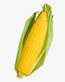 Corn Png Transparent Image - Yellow Corn, Png Download, Transparent PNG