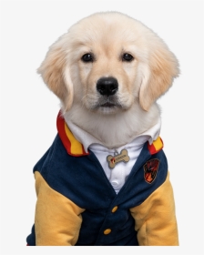 Pup Academy Wiki - Pup Academy Pom Pom, HD Png Download, Transparent PNG