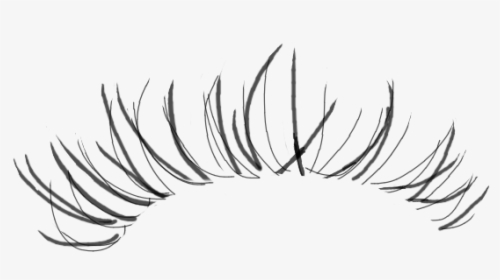 #eyelashes #eyelash Flip These If U R Using For The - Line Art, HD Png Download, Transparent PNG