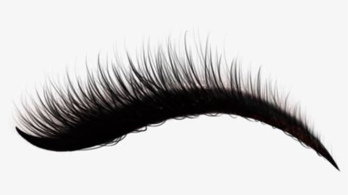 #lashes #eyelashes #makeup #aesthetic #sticker #free - Mascara, HD Png Download, Transparent PNG