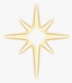 Download Christmas Gold Star Png Image - Marine Invertebrates, Transparent Png, Transparent PNG