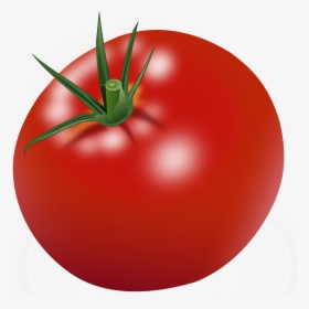 Tomato Clipart, HD Png Download, Transparent PNG