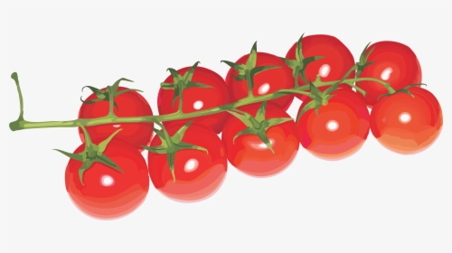 Grab And Download Tomato Icon - Cherry Tomatoes Transparent Background, HD Png Download, Transparent PNG