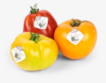 Tomato Png One - Heirloom Tomatoes Yellow Transparent, Png Download, Transparent PNG