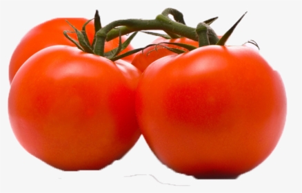 Tomato Png Image - Plum Tomato, Transparent Png, Transparent PNG