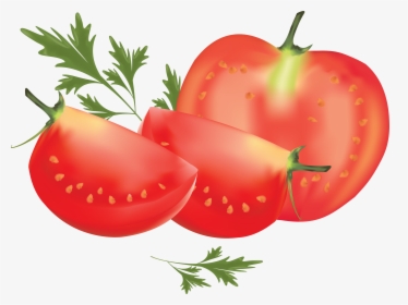 Download For Free Tomato Png Clipart - Tomatoes Clipart Png, Transparent Png, Transparent PNG