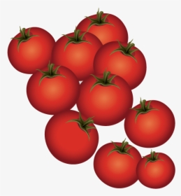 Plum Tomato Bush Tomato - Cherry Tomatoes, HD Png Download, Transparent PNG