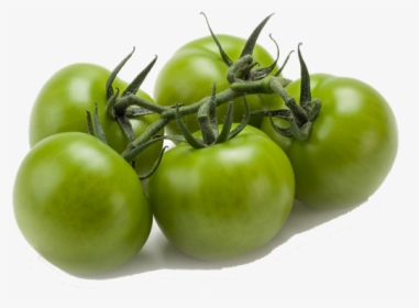 Green Vine Tomatoes - Tomato Green On Vine, HD Png Download, Transparent PNG