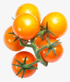Cherry Tomato - Cherry Tomatoes, HD Png Download, Transparent PNG