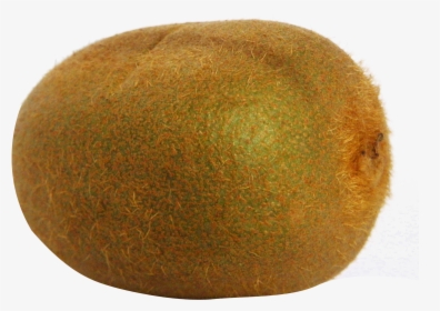 Kiwi Fruit Png File - Real Kiwi Png, Transparent Png, Transparent PNG