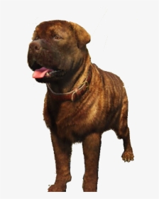 Companion Dog, HD Png Download, Transparent PNG