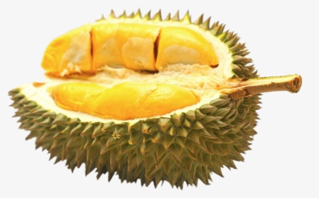 Half Durian Fruit - Durian Png, Transparent Png, Transparent PNG
