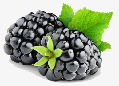 Download Blackberry Fruit Png Hd - Blackberry Fruit Png, Transparent Png, Transparent PNG