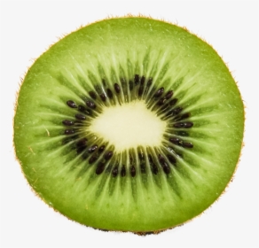 Kiwi Fruit Png Transparent Image - Kiwi Png, Png Download, Transparent PNG