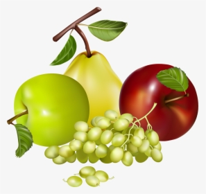 Mixed Fruits Png Clipart Best Web Clipart Pics - Fruit Clipart Png, Transparent Png, Transparent PNG