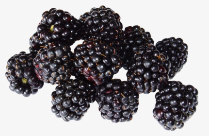 Blackberry Png - Black Berry Png, Transparent Png, Transparent PNG