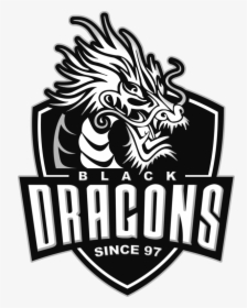 Black Dragons Esports, HD Png Download, Transparent PNG