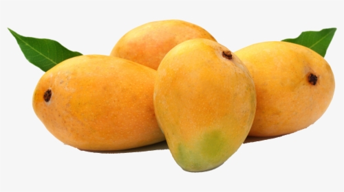Transparent Mango Fruit Png - Mango Fruit, Png Download, Transparent PNG
