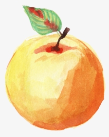 Watercolor Fruit Transparent Background, HD Png Download, Transparent PNG