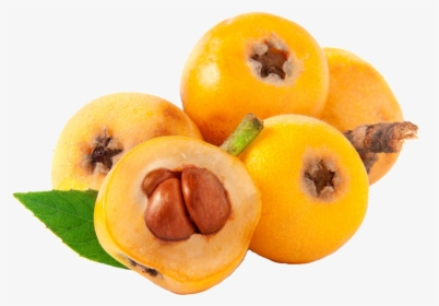 Image - Chinese Plum, HD Png Download, Transparent PNG