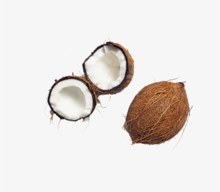 Coconut Free Transparent Images - Circle, HD Png Download, Transparent PNG