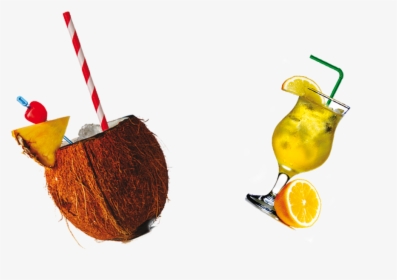 Orange Juice Apple Juice Coconut Milk Drink - Meyer Lemon, HD Png Download, Transparent PNG