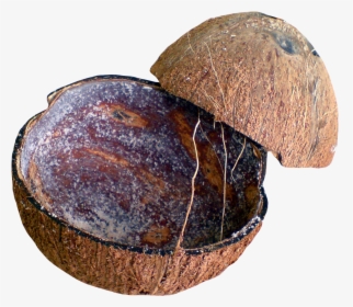 Coconut Shell Png, Transparent Png, Transparent PNG