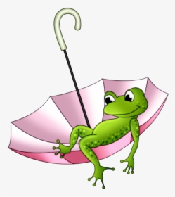 Dcd Prch Happy Frog - Grenouille Dessin Rigolo, HD Png Download, Transparent PNG